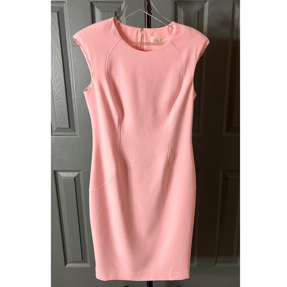 Eliza J Dresses & Skirts - Eliza J Boning Trim Silhouette Petal Pink Women's Dress Size 8